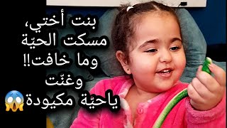 بنت أختي فاجئتني وحفظت أغنيتي الجديدة يا حيّة مكيودة😄🐍وحملت الحية اللي كانت تخاف منها!!!!