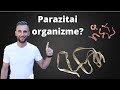 Parazitai organizme?