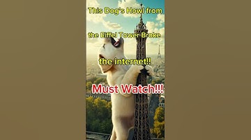 How did this Puppy End Up on Eiffel Tower?! 😳🐶#shorts #dog #puppy