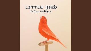 Download Lagu Delicate MP3