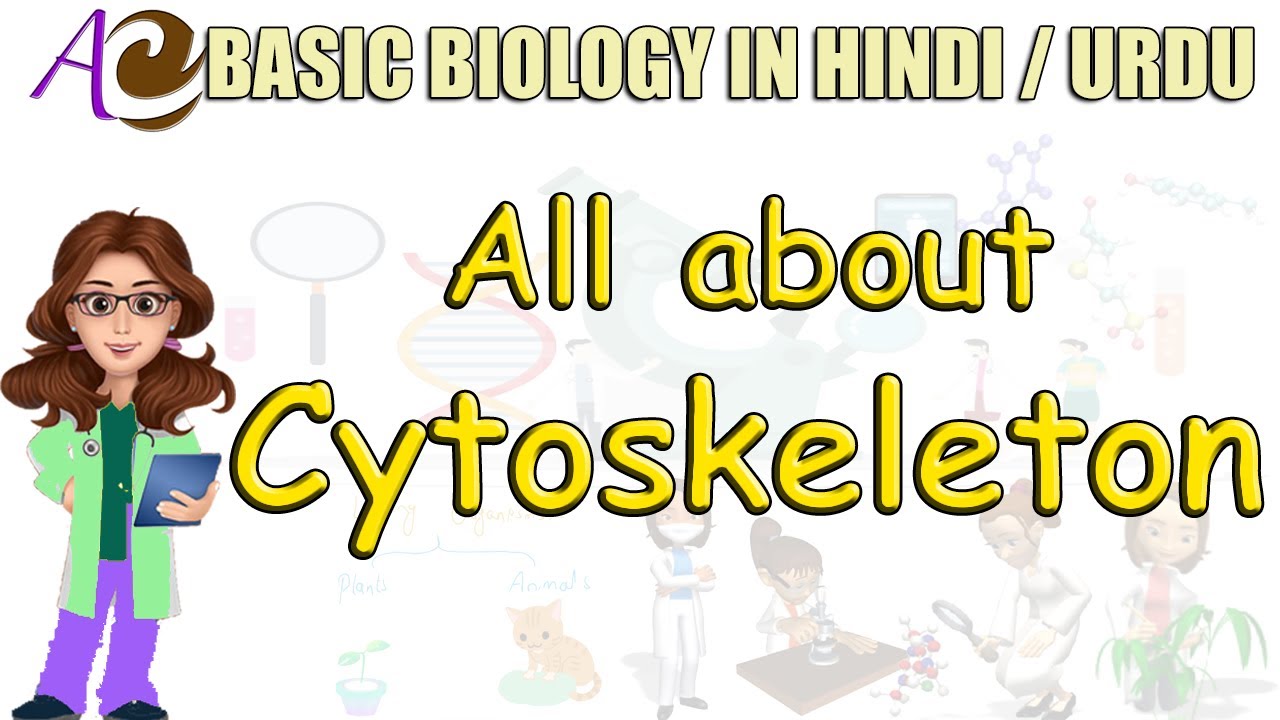 Cytoskeleton in Hindi / Urdu | Basic Biology for Beginners - YouTube