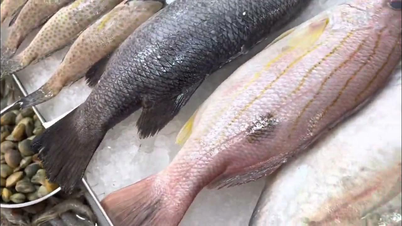 DUBAI KARAMA FISH MARKET YouTube