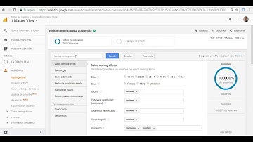 Segmentos en Google Analytics