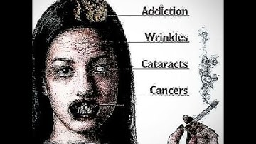 JDFLAG — 4_8_TУПАЯ JANKИ (RELEASE 18.08.2024)