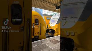 Twee Virms Maken Kindjes Op Station Alkmaar Resimi