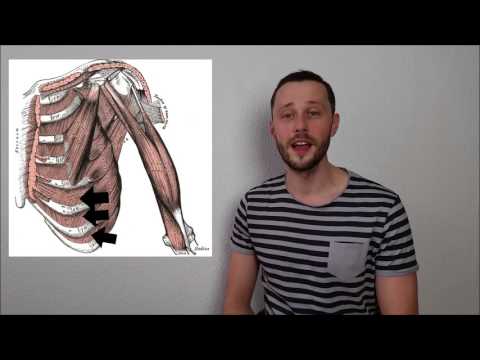 Video: Welche Atemmuskeln ziehen sich zusammen?