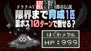 【超検証】最強はぐれメタル1匹で裏ボス10ターン撃破できるのかドラゴンクエストV