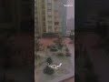 جمال الأرض بثوبها الأبيض فتوقظ النفوس النائمة من سبات عميق صباح السعادة