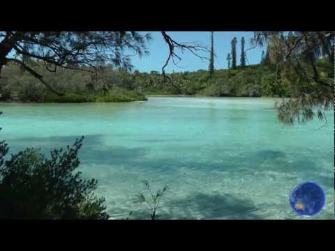 Une île tropicale