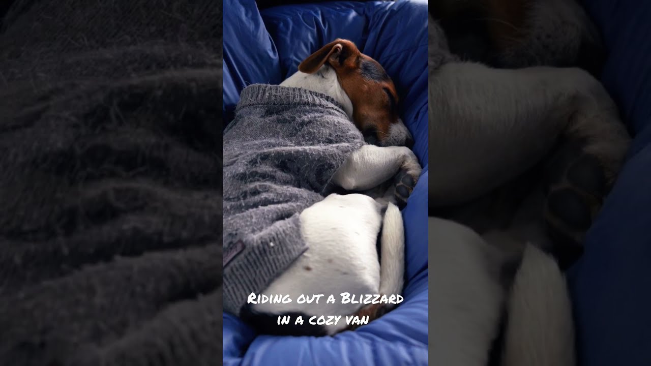 Riding Out A Blizzard In Cozy Van