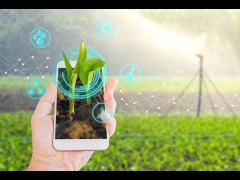 რომელ სუბიექტებს დააფინანსებენ ბიოწარმოების ხელშემწყობი სახელმწიფო პროგრამით