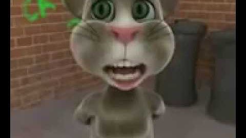 سورة الفاتحة .. بصوت القط توم