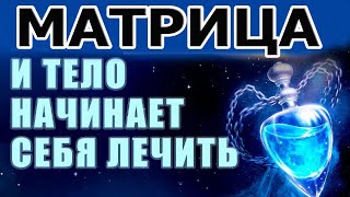 С Этого Момента Тело Начнет Себя Лечить | Исцеляющая Матрица|