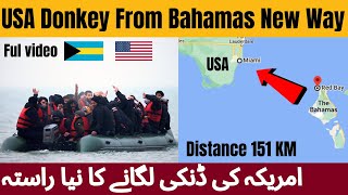 USA donkey border crossing | Bahamas country to America donkey Distance 151 KM | Danki on big ship