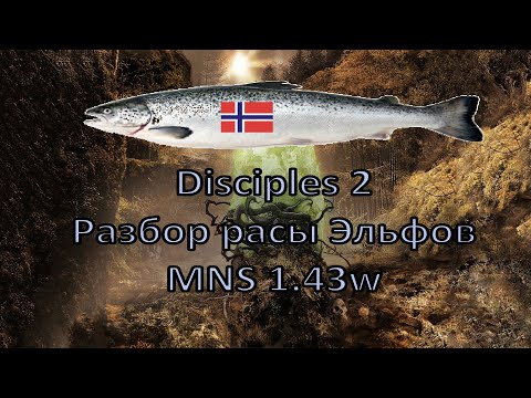 Видео: Disciples 2 - Разбор расы Эльф. альянс на моде Норвежской Семги, 1.43w