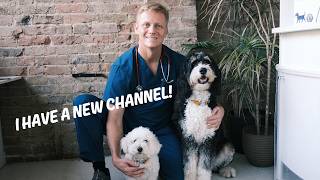 Welcome to Rescue Vet with Dr Scott Miller