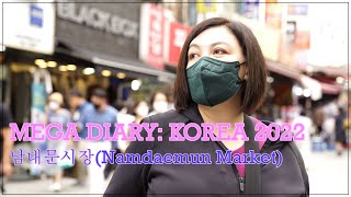 MEGA Travels  Korea Diary