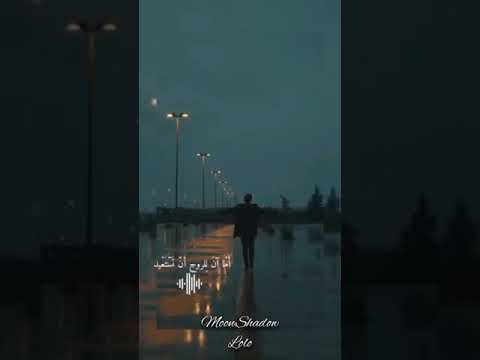 حالات واتس اب ألسنا أحق بقلب سليم