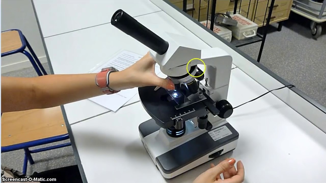 Utilisation du microscope optique - myMaxicours