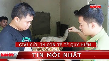 ⚡ NÓNG | Giải cứu 74 con tê tê quý hiếm