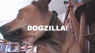 DOGZILLA!