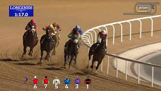 Vidéo de la course PMU AL MAKTOUM CHALLENGE R2