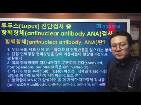 루푸스(Lupus) 진단검사 중 항핵항체(antinuclear antibody,ANA)