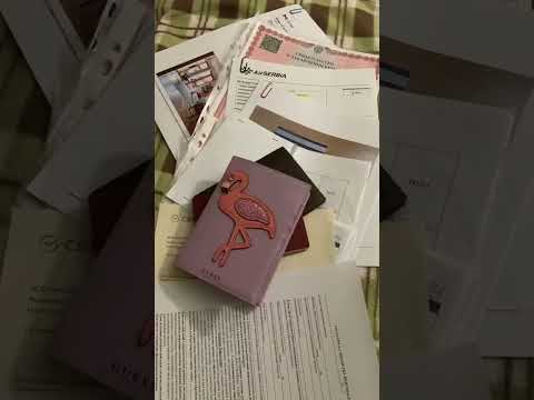 Шенген 2023 и оленята☺️#vlog #movingtousa #schengenvisa #usimmigrant #marriagegreencard #переездвсша