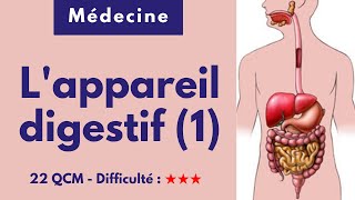 L'appareil digestif (1) - 22 QCM - Difficulté : ★★★