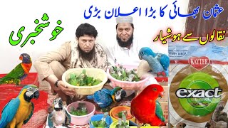 Usman bhai setup visit update| 5-may-23| Lalukhet Bird Market Karachi visit|