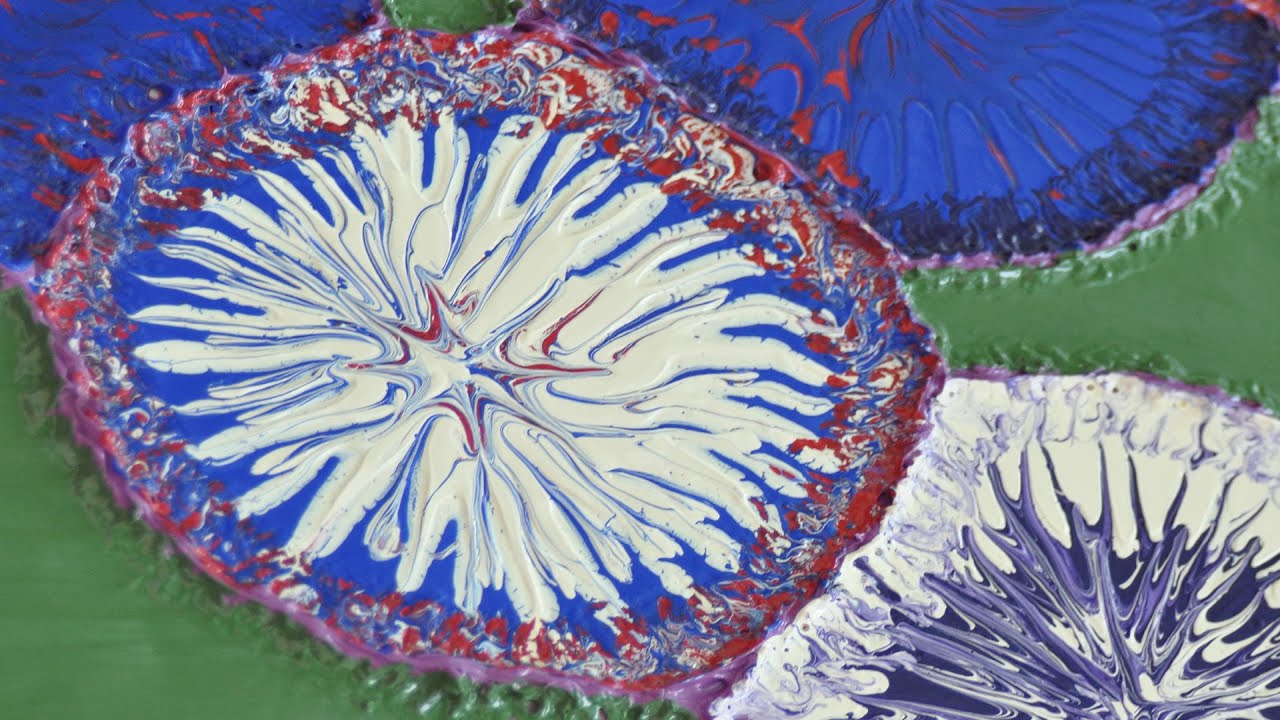 Lily Pad Colors Time Lapse Art Video by DKS YouTube