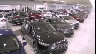 Basil Ford Superbowl Spot 2016