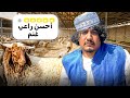 جربت أكون راعي غنم لمدة 24 ساعة جربت أكون راعي غنم لمدة 24 ساعة