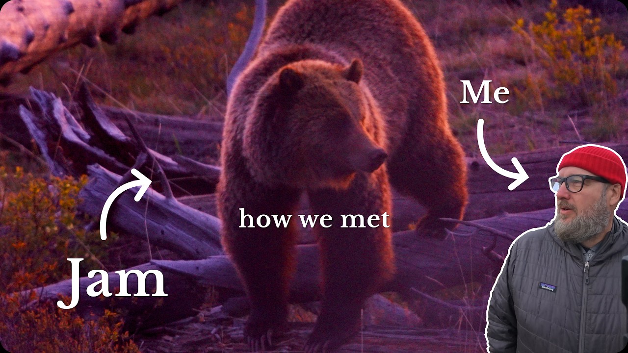 The Grizzly Bear Encounter I Keep Thinking About