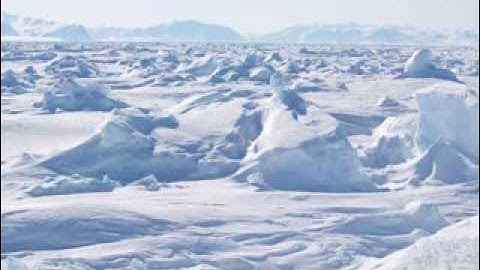 Super DBA - Will Avery