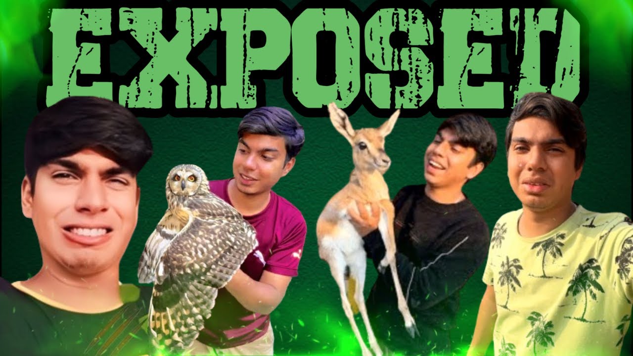 SW Pet House Exposed Top 5 Pakistani Youtubers vlog pets youtuber sw-pet-house-exposed-top-5-pakistani-youtubers-vlog-pets-youtuber
