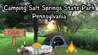 Camping Salt Springs State Park, Pennsylvania