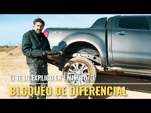 Cómo funciona el