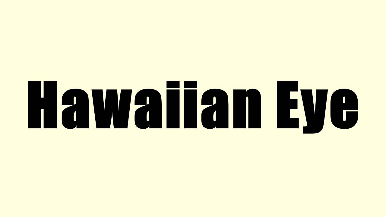 Hawaiian Eye YouTube