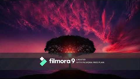 من سورة الواقعة فلا أقسم بمواقع النجوم Beautiful Quran