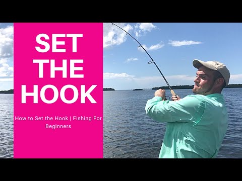 How to Set the Hook | Fishing For Beginners