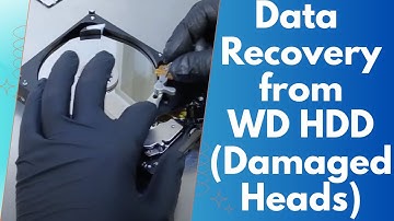 Lost Data on a WD Hard Drive? See Our Expert Recovery Process