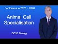 Gcse biology revision animal cell specialisation