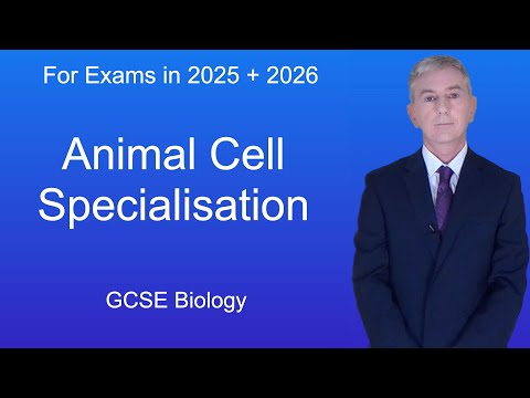 Vidéo: Que sont les cellules GCSE ?