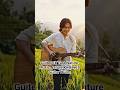 Guiter Ek Tara Nature Music Nature Ke Beech Guitar l Firm mein guiter ki baat #guiterist #musicreel