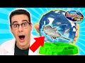 DRAGONES ACUÁTICOS DEL ESPACIO Mis nuevas mascotas Aqua Dragons | Curiosidades con Mike - T4 E26