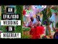 AN EFIK/IGBO WEDDING IN NIGERIA | VLOG #43 | LIFE IN ABUJA, NIGERIA
