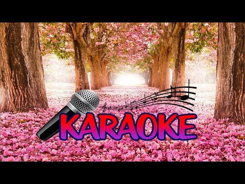 გაუღე ეგ გულის კარები სიყვარულს (karaoke) - სოსო მიქელაძე - Gaughe eg gulis karebi (კარაოკე)