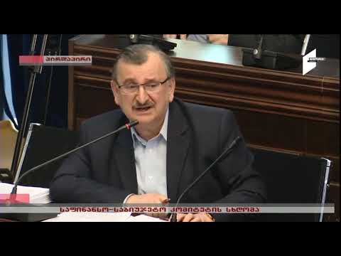 რომან გოცირიძე - ბიუჯეტის ზრდა