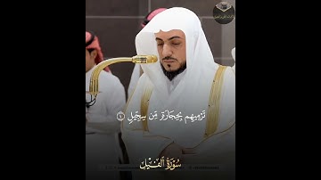 ( سورة الفيل ) | فضيلة الشيخ د. الوليد الشمسان